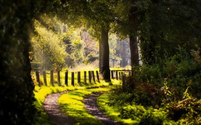 ER IS GEEN WEG NAAR GELUK, GELUK IS DE WEG (Boeddha)